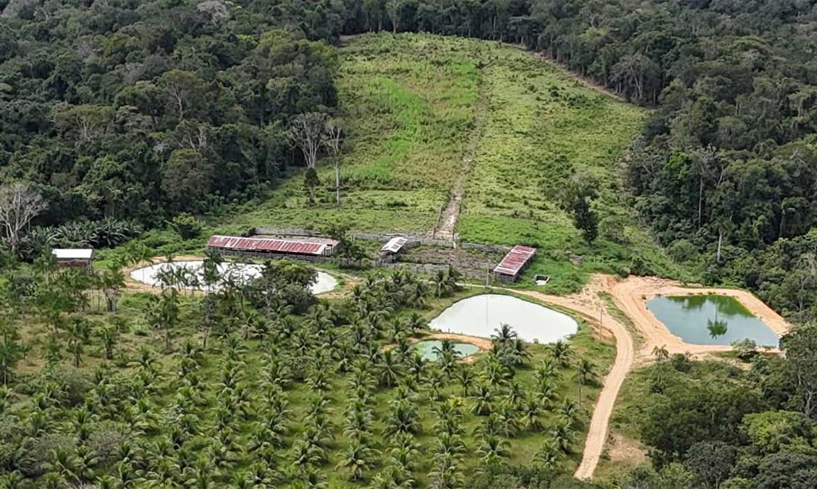 Operação do Ipaam aplica R$ 1,6 milhão em multas