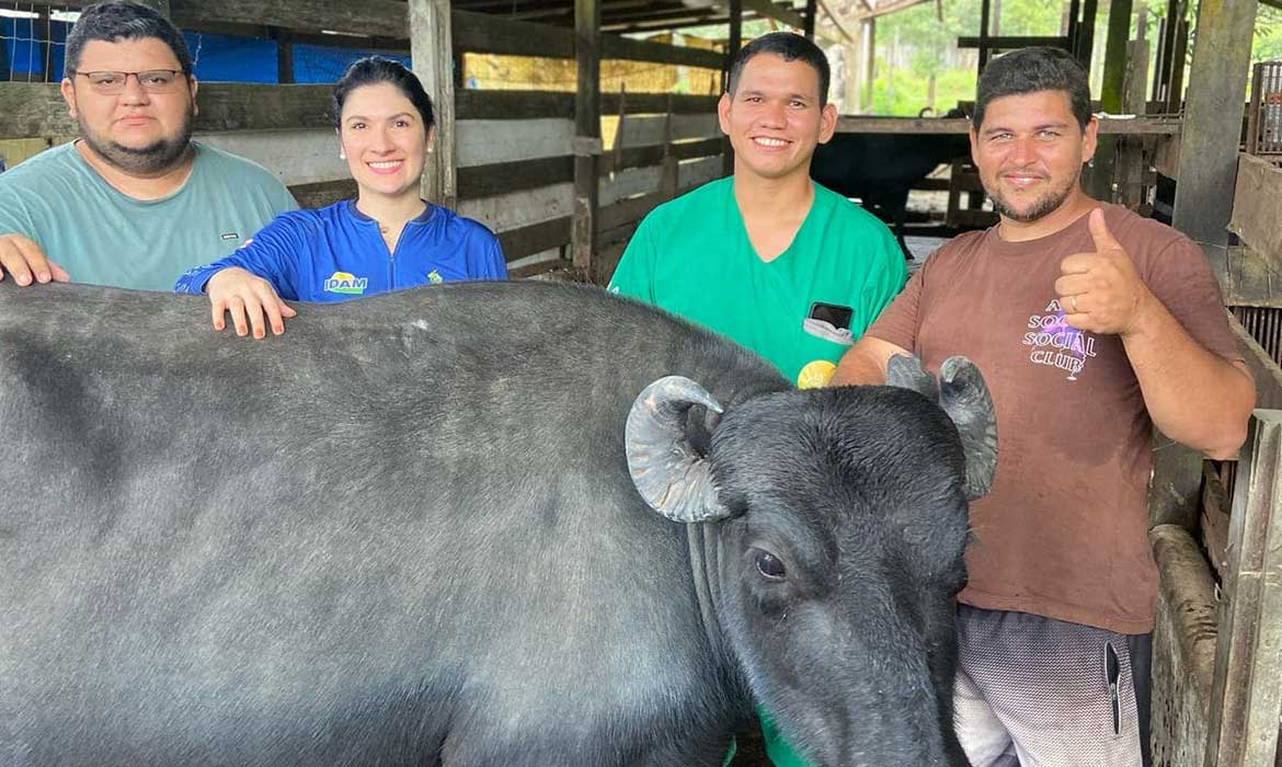 Programa Mais Pecuária Brasil
